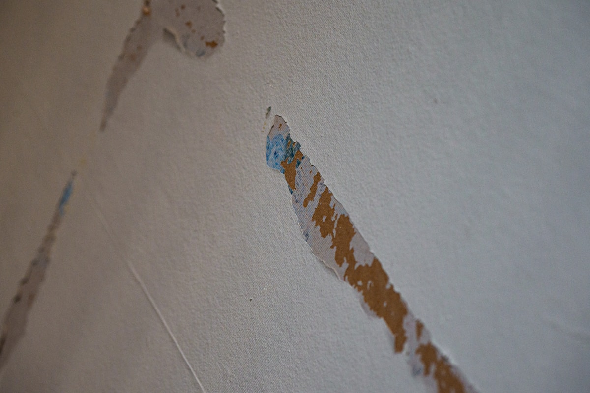 Water Extraction service in Malden, MA